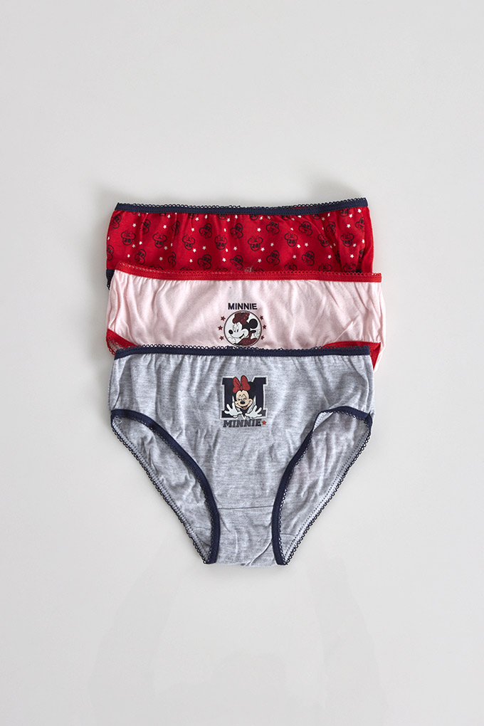 Minnie Mouse 2 Girl Printed Knickers