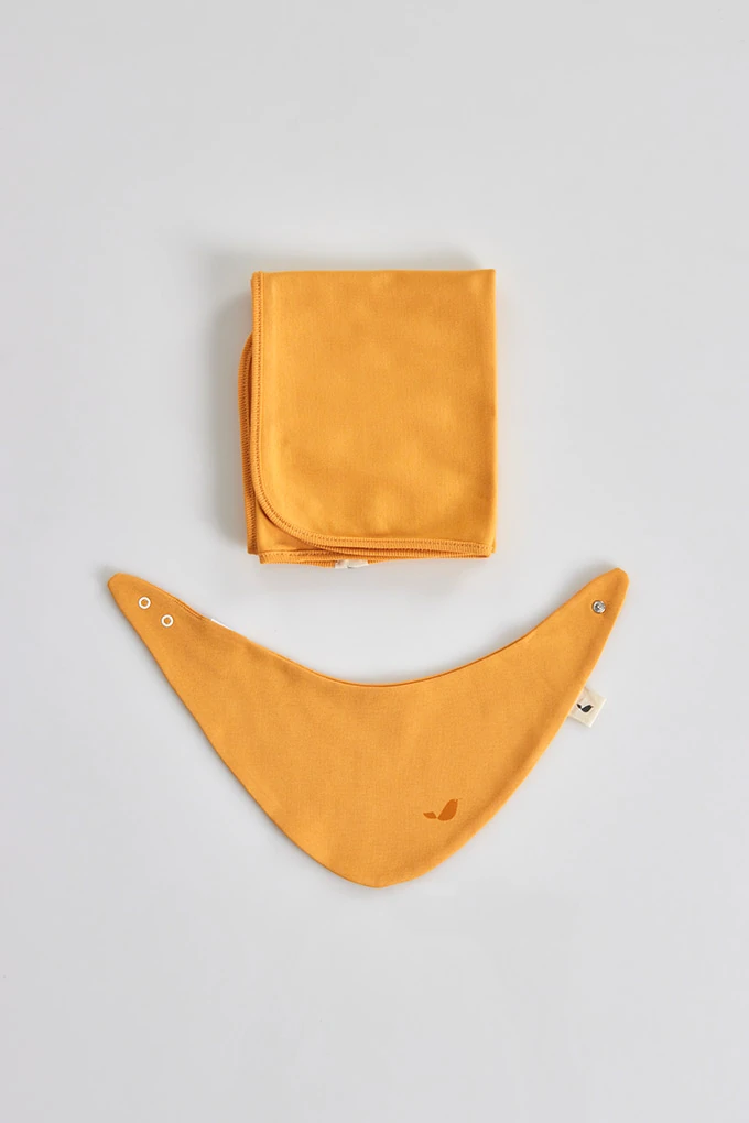 Organic Cotton 2 Pieces Baby Set