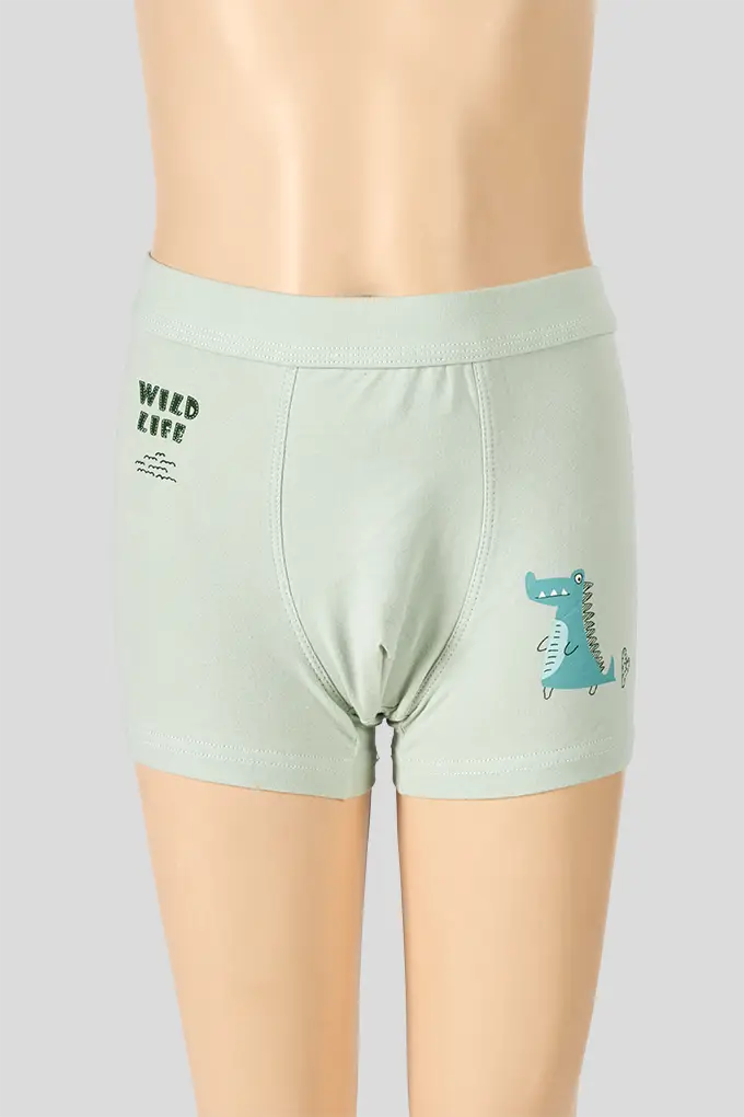 Boxer Estampado Menino Wild Life