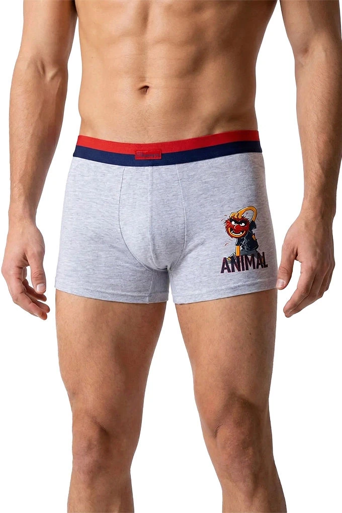 Animal Man Printed Boxers Pack 2